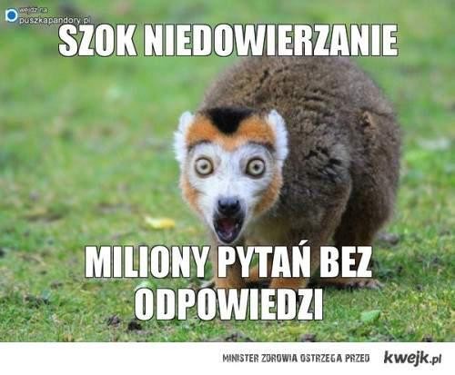 szok.jpg