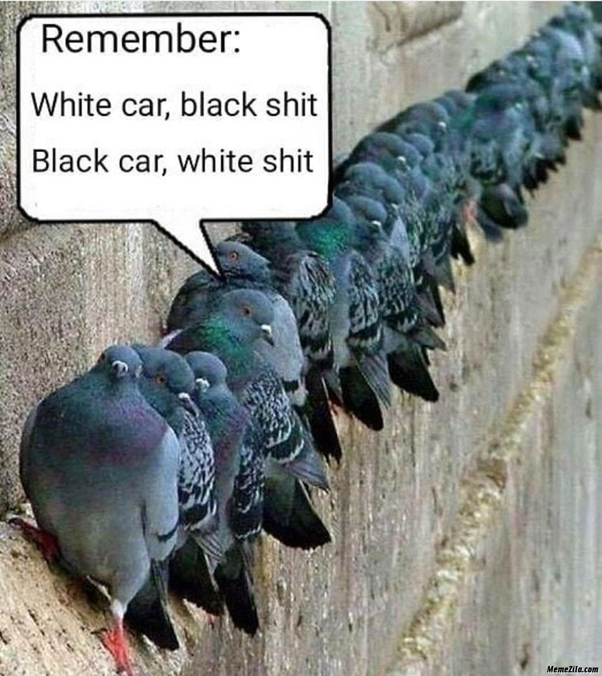 Remember-white-car-black-shit-black-car-white-shit-meme-1295.jpg.5c99becb6afd811eb45b4dd813808d2d.jpg