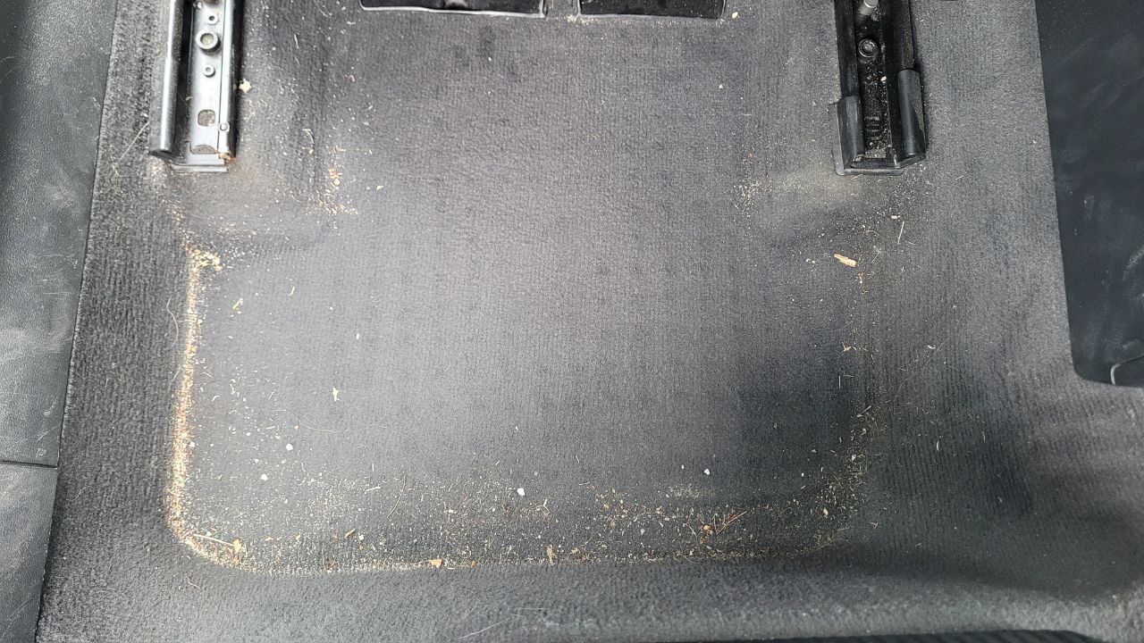 20250727_120417.jpg.159bbe04f13f42126e12ccf85554becd.jpg
