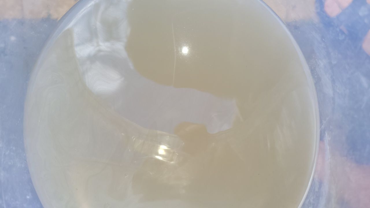 20250819_164237.jpg.0a0a827c66862eb8df04cbf26e4a8f3a.jpg
